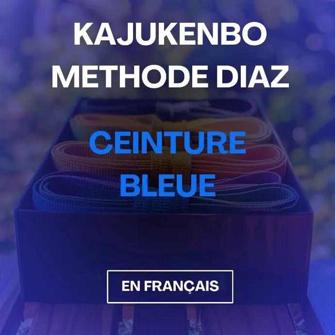 Formation de KajuKenBo - Ceinture Bleue