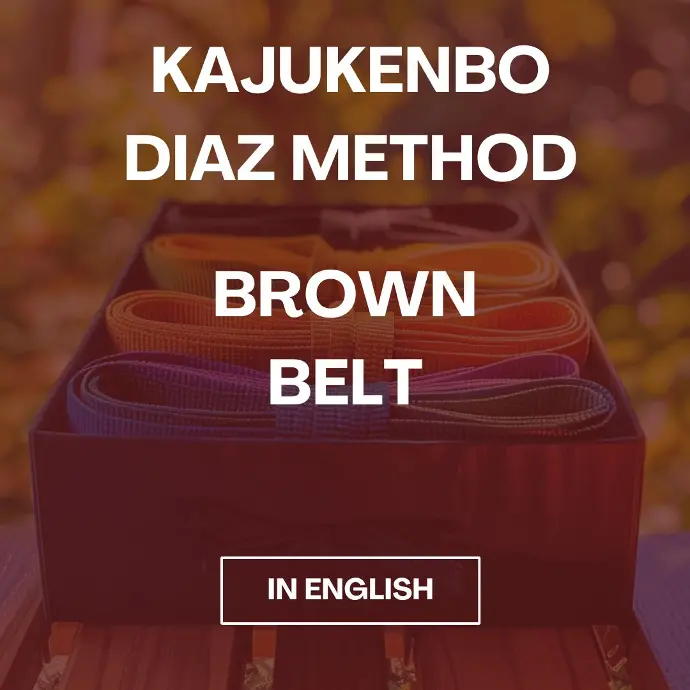 KajuKenBo Course - Brown Belt   