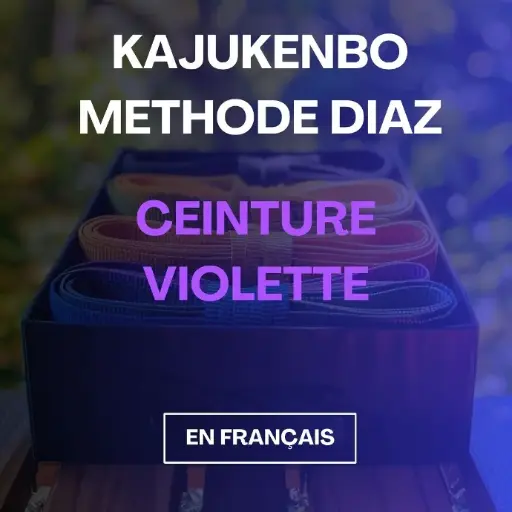 KajuKenBo - Ceinture Violette