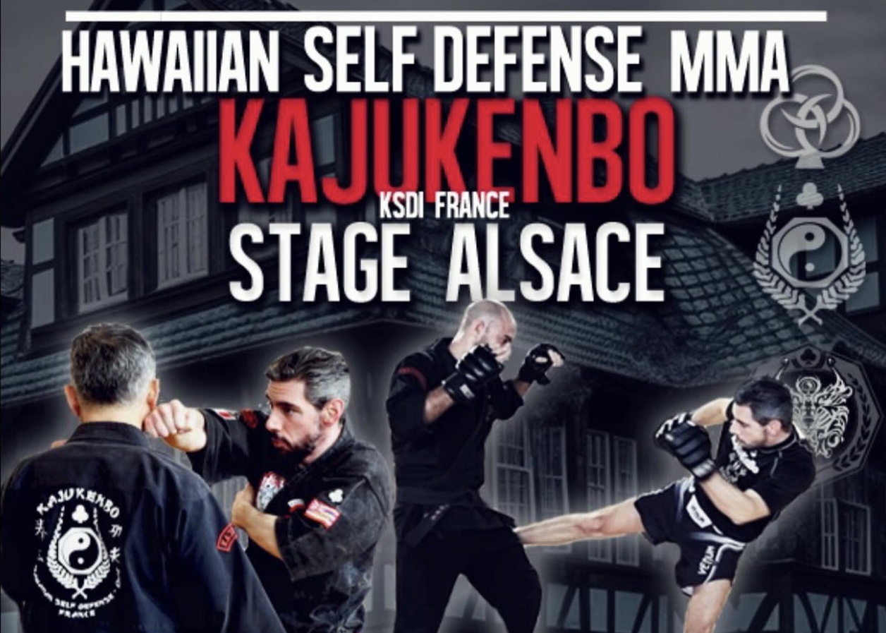Stage de Kajukenbo en Alsace | Kajukenbo KSDI France
