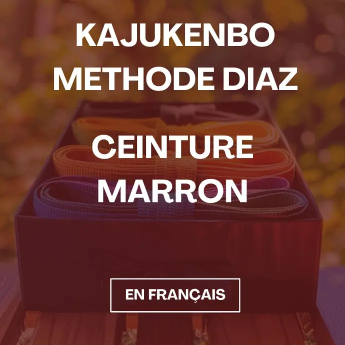 Formation de KajuKenBo - Ceinture Marron