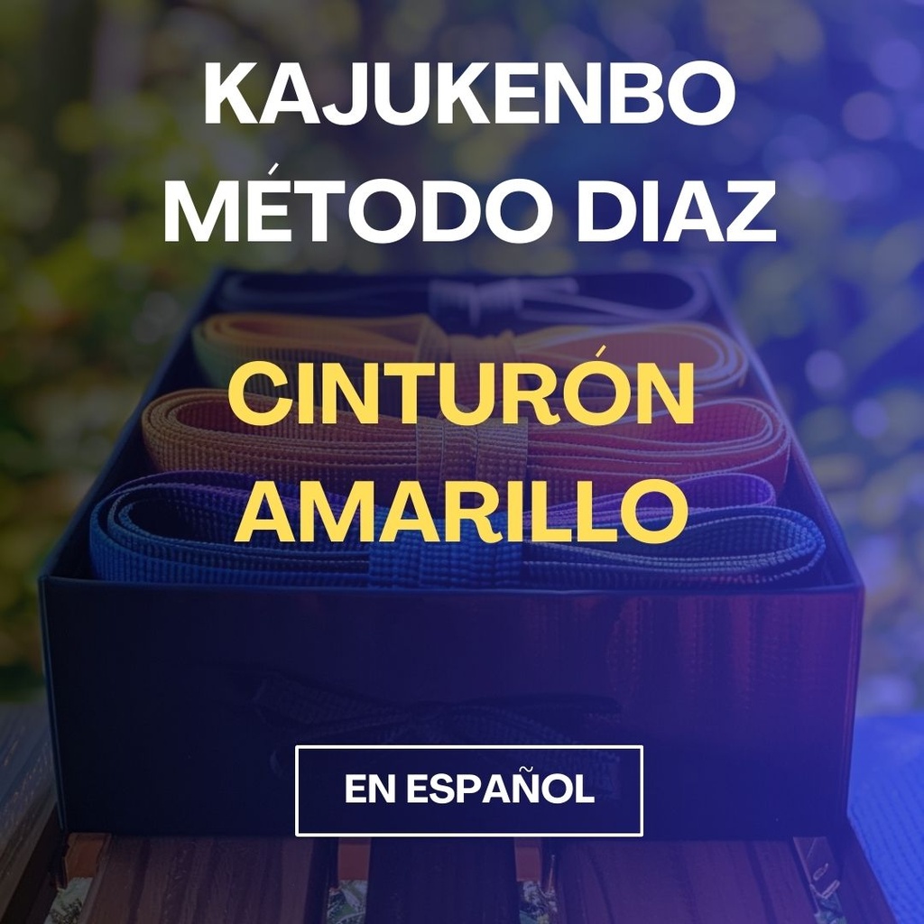 Curso de KajuKenBo - Cinturon Amarillo