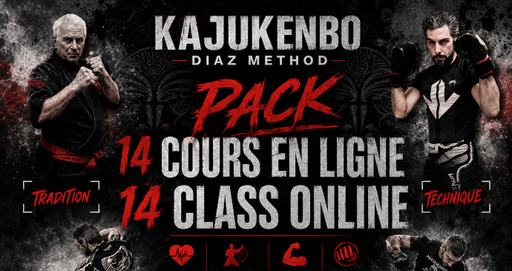 Cours en ligne N°1