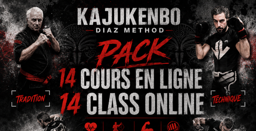 Cours en ligne N°2