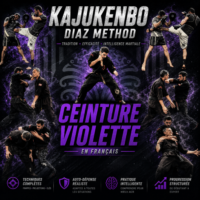 KajuKenBo - Ceinture Violette
