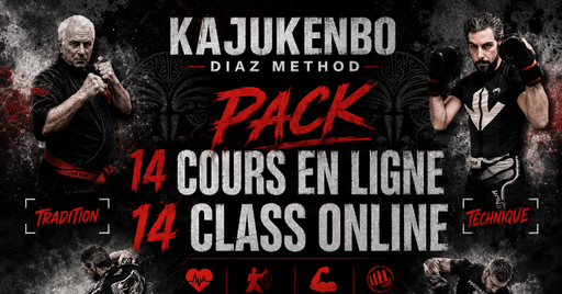 Cours en ligne N°9