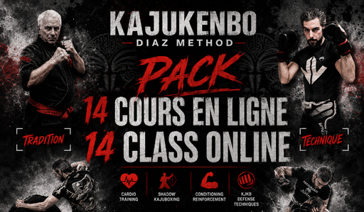 Cours en ligne N°10