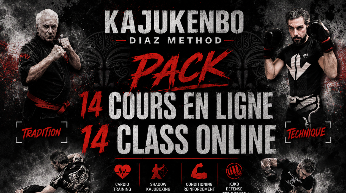 Cours en ligne N°13