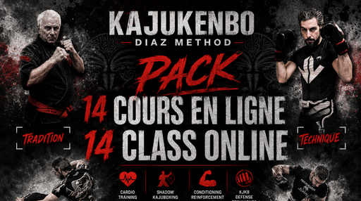 Cours en ligne N°13